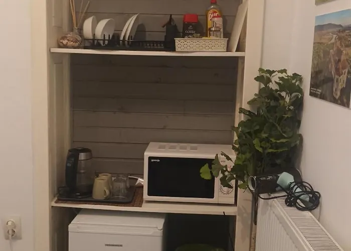 公寓 Old Town Impressionist 布加勒斯特